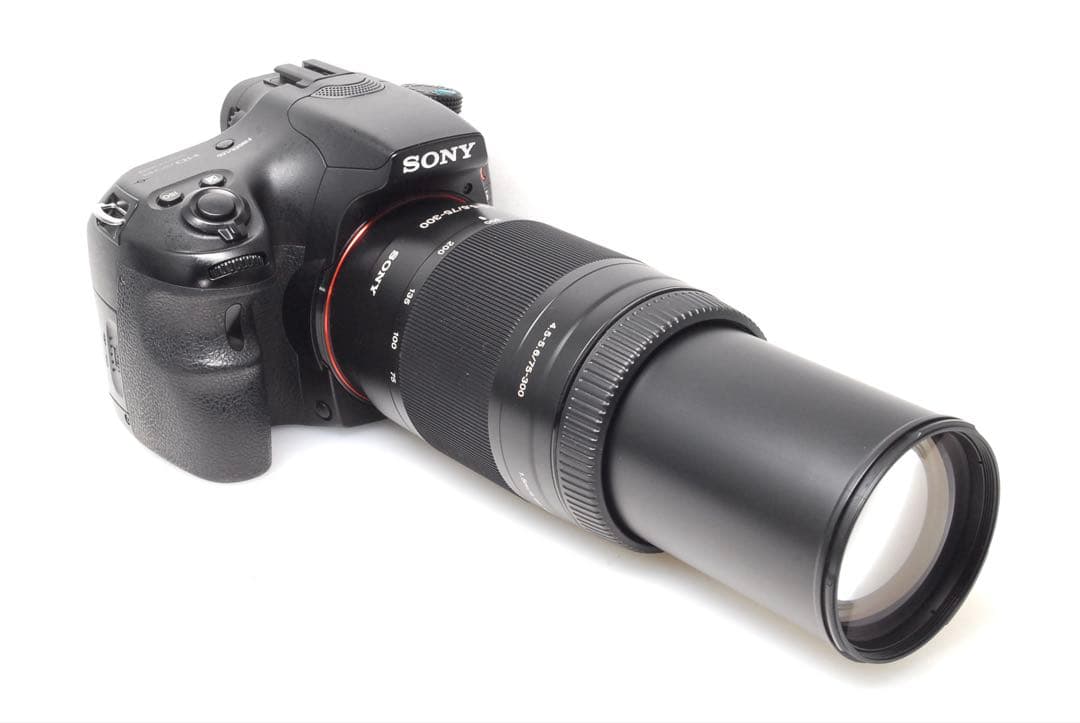 ✨1秒10コマの高速連射✨SONY α65✨ダブルレンズ✨超望遠✨超高画質✨