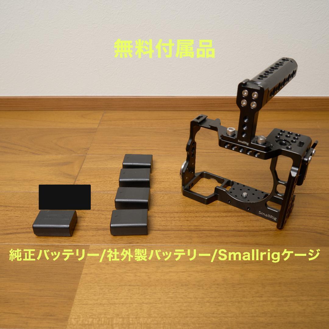 【すし】SONY α7S II 本体 バッテリー・充電器付き