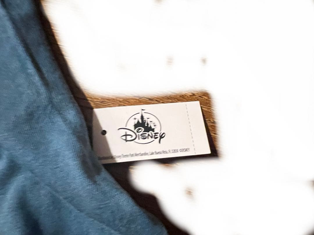 アウラニ　限定　パーカー　ハワイ　ディズニー　ホノルル　ミッキー　ミニー　レア