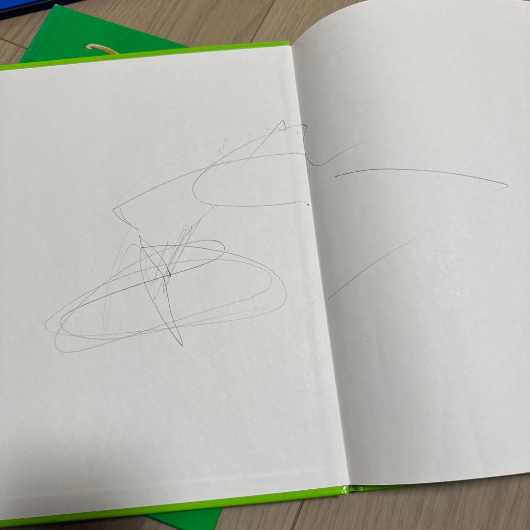 ディズニー英語システム　シングアロング　DVD CD ワールドファミリー　DWE