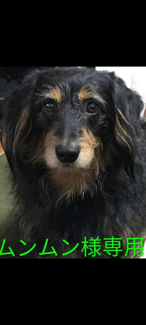 ムンムンオーダー等身大♡