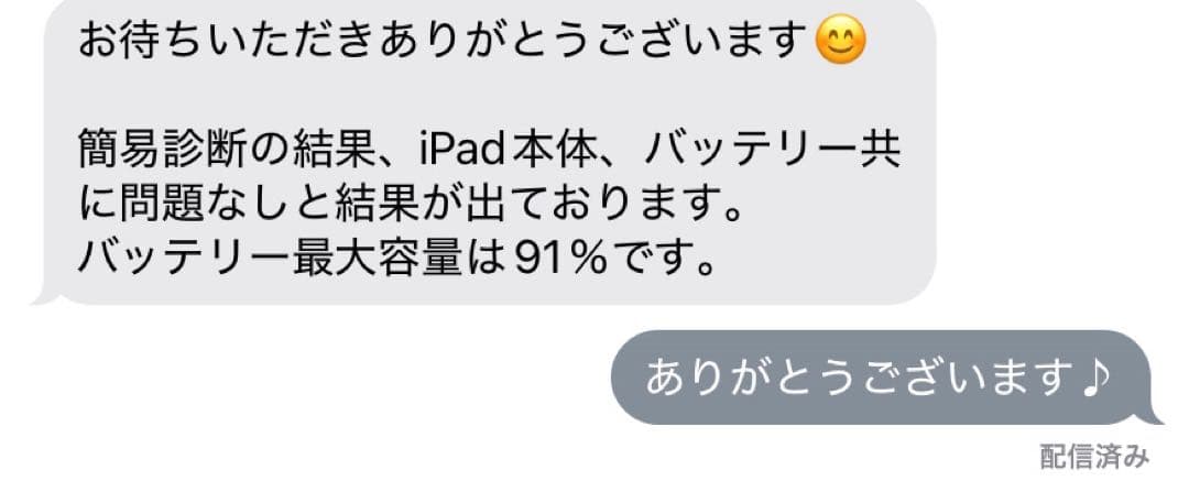 本日限定　iPad mini 5 Apple Pencil付き　64GB