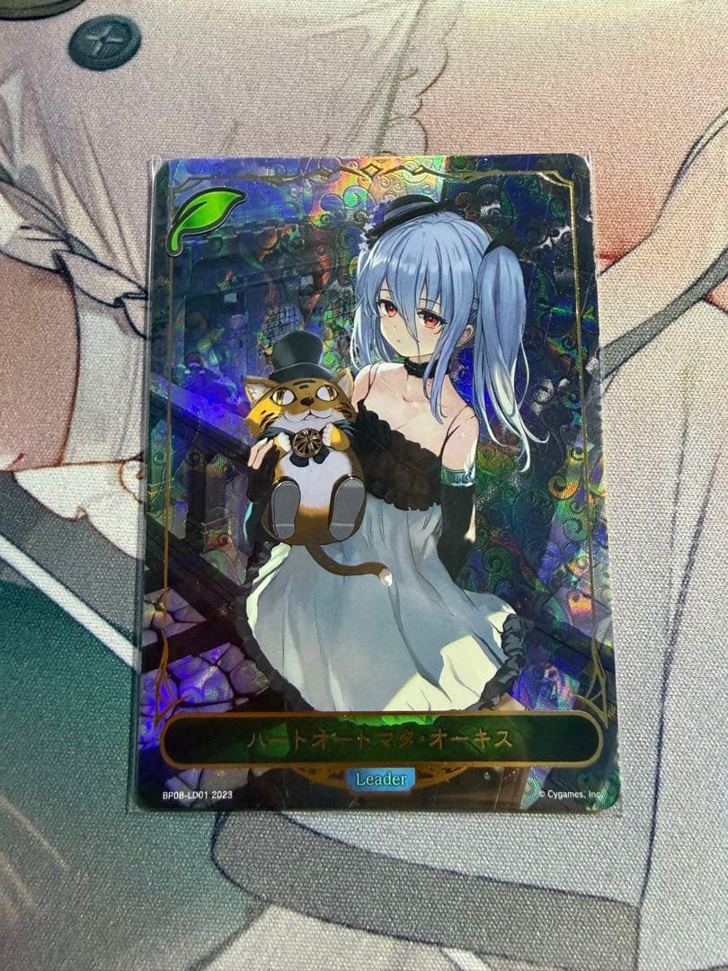 エボルヴ オーキス リーダー