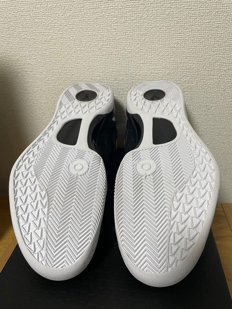 ナイキ コービー 8 プロトロ 28.5cm