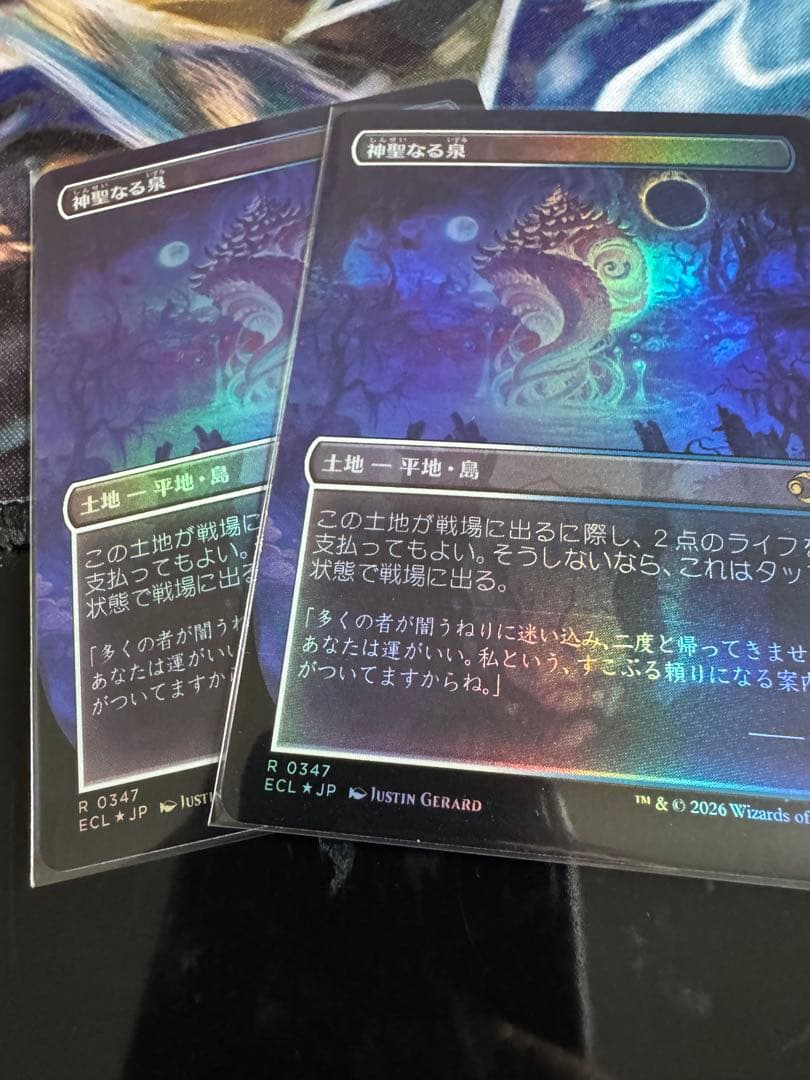 mtg 神聖なる泉　ボーダーレスfoil