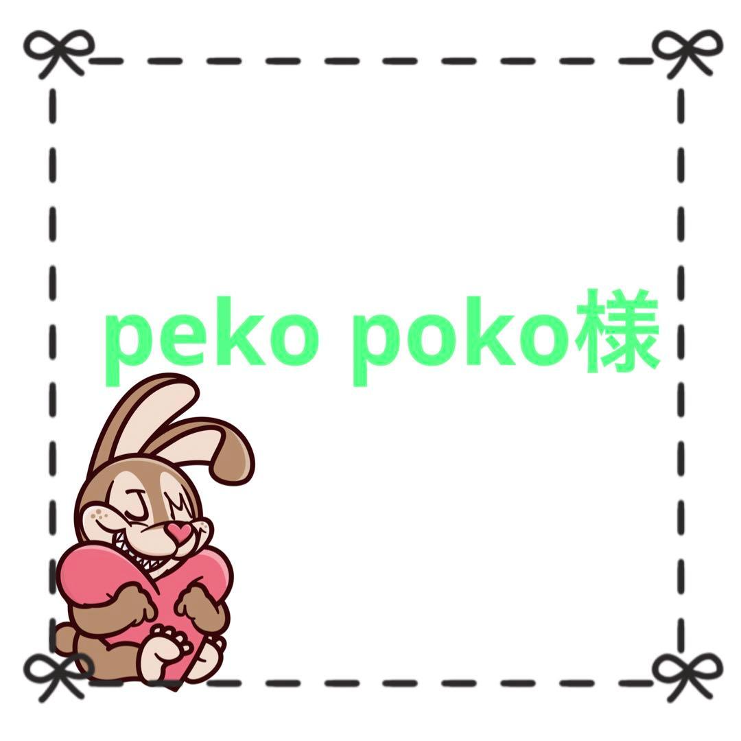 専用‼️新品⭐️ノースフェイス高級グースチューブ切替ダウン　ブラックL 韓国限定