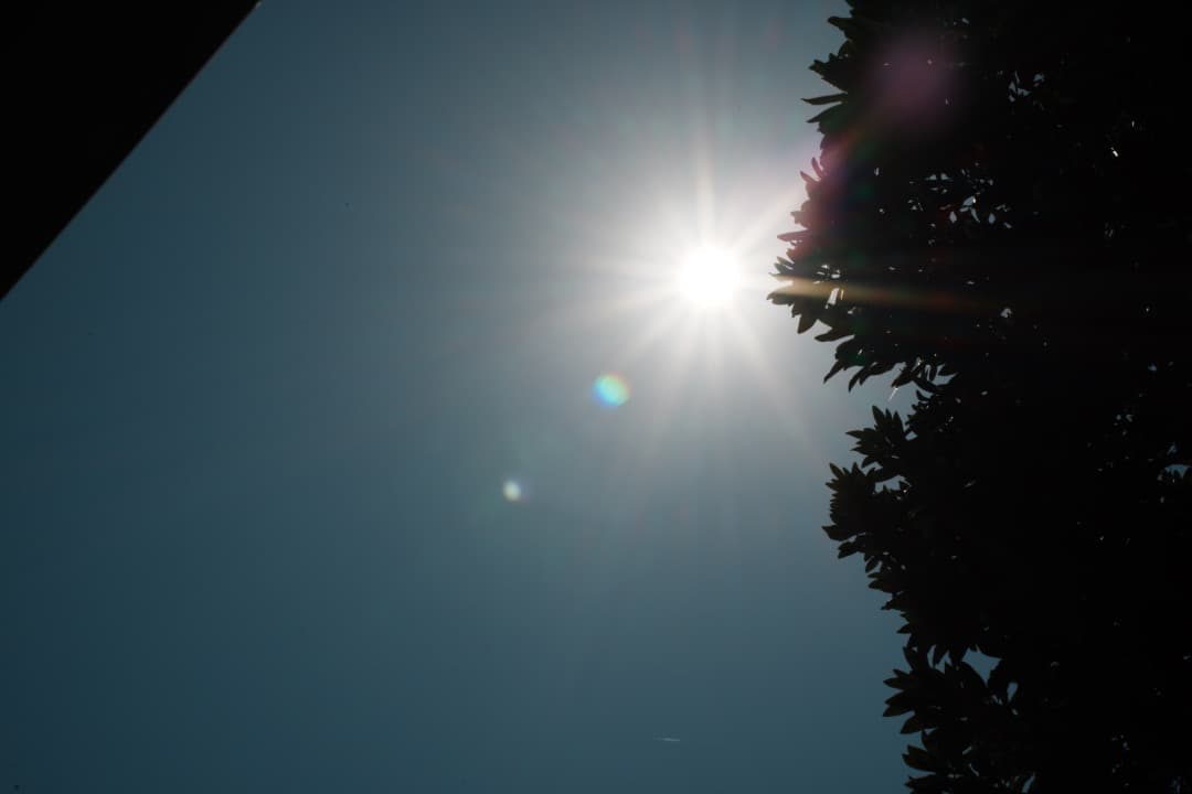 極美品 AF Ai Micor-Nikkor 60mm F2.8D 149