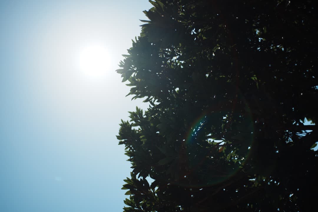 極美品 AF Ai Micor-Nikkor 60mm F2.8D 149