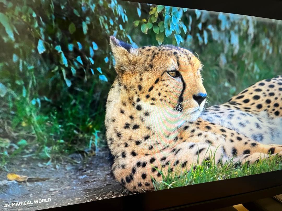 HP pavilion 32 QHD 液晶モニター ディスプレイ