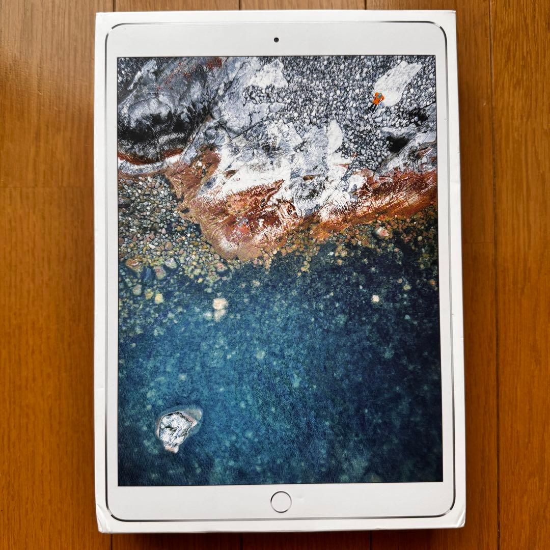 【箱・付属品完備】iPad Pro 10.5インチ 256GB SIMフリー