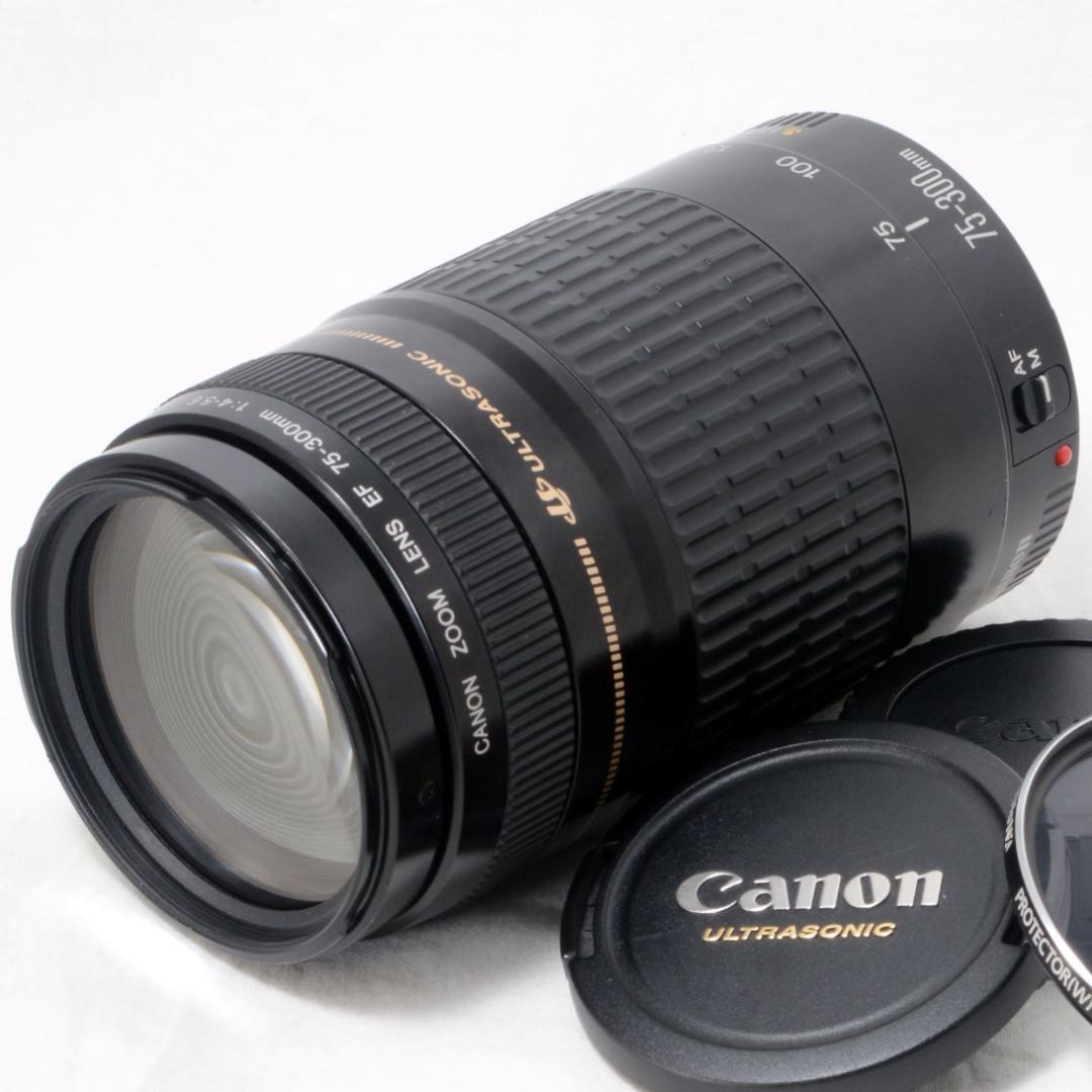 ⭐️良品⭐️Canon キャノン EF 75-300mm F4-5.6 USM