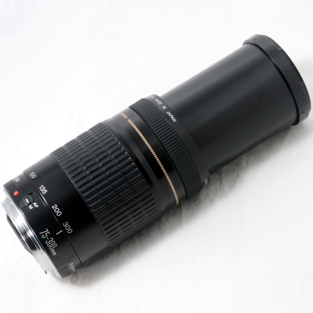 ⭐️良品⭐️Canon キャノン EF 75-300mm F4-5.6 USM