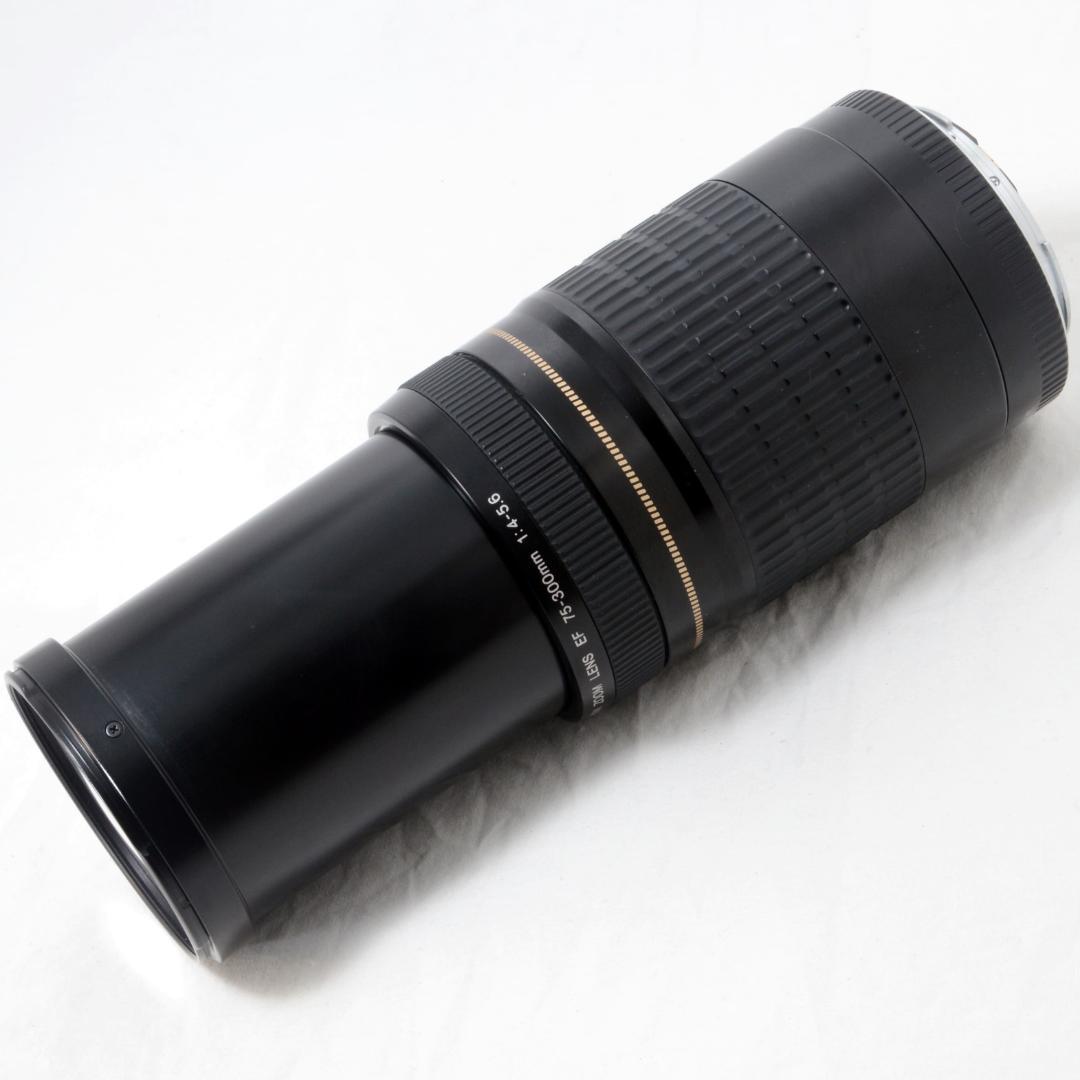 ⭐️良品⭐️Canon キャノン EF 75-300mm F4-5.6 USM