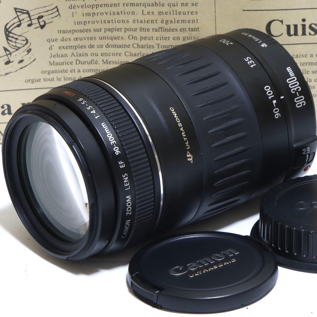 ◇超望遠&高速AF◇Canon純正 90-300mm 望遠レンズ!!◇