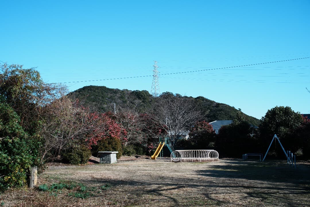 レンズ(単焦点) Carl Zeiss Distagon 35mm f2.8 AEJ 507