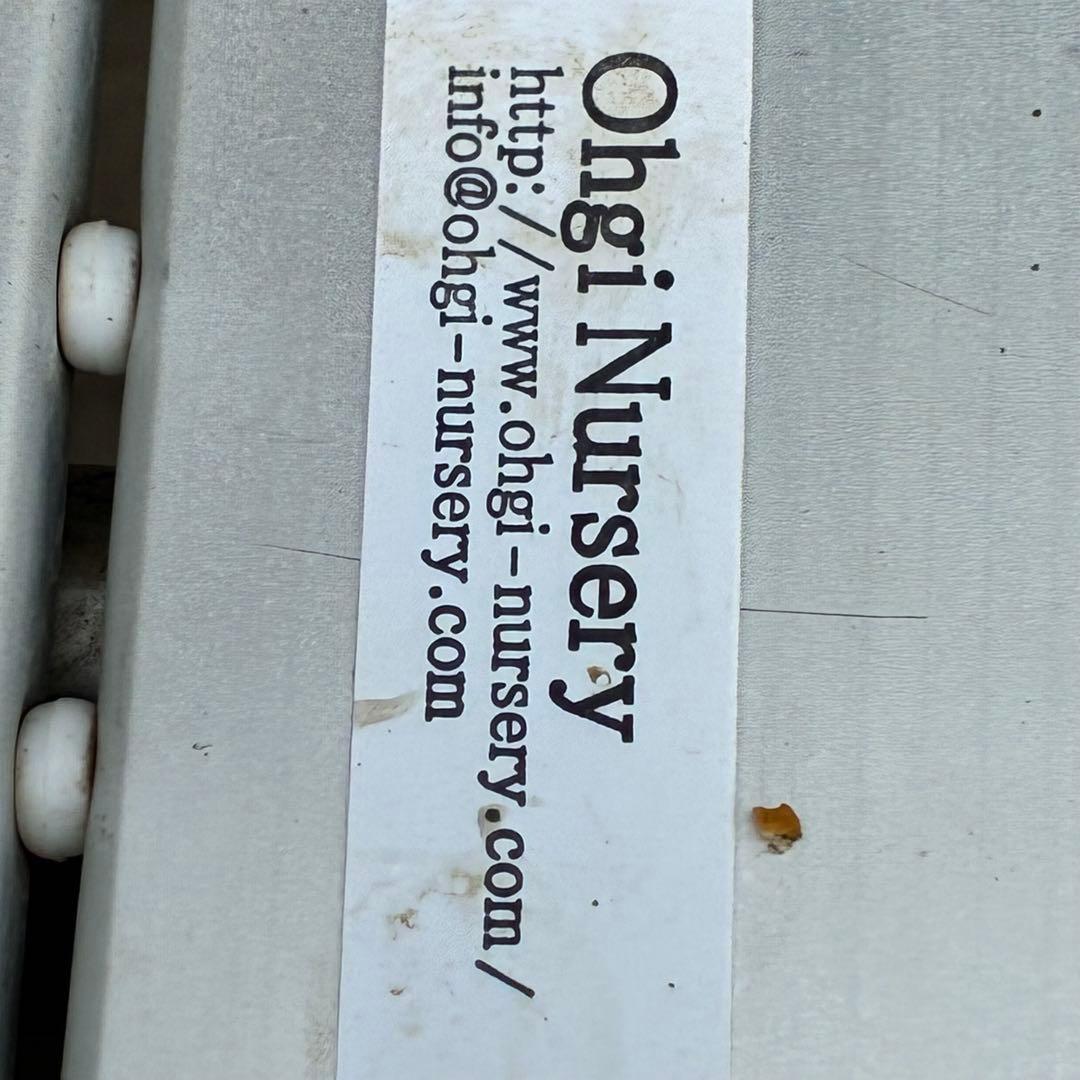 タ*ン様 3500❤️沢山☘️蕾花タグ付☘️ボリュームSD⭐️超小輪⭐️オーレア