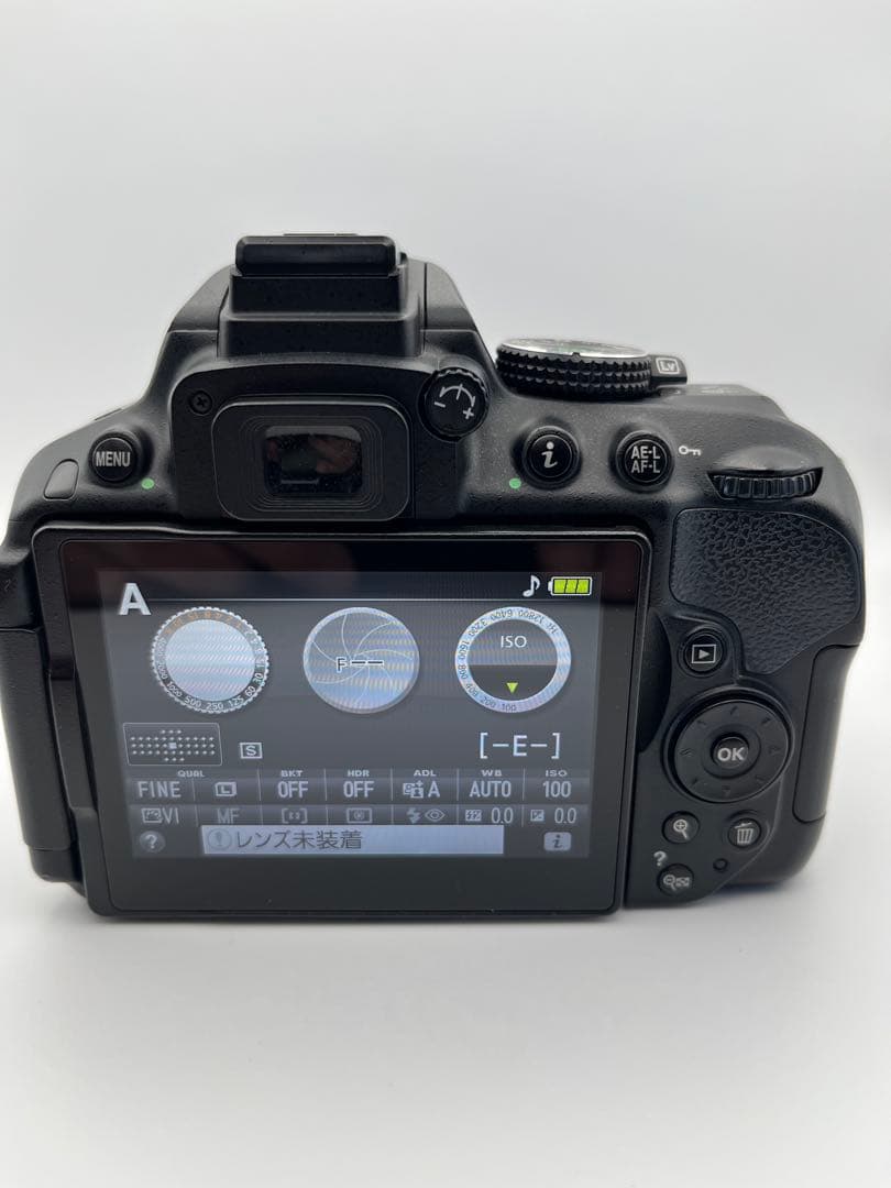『外観美品　動作確認済』Nikon D5300 ダブルズームセット