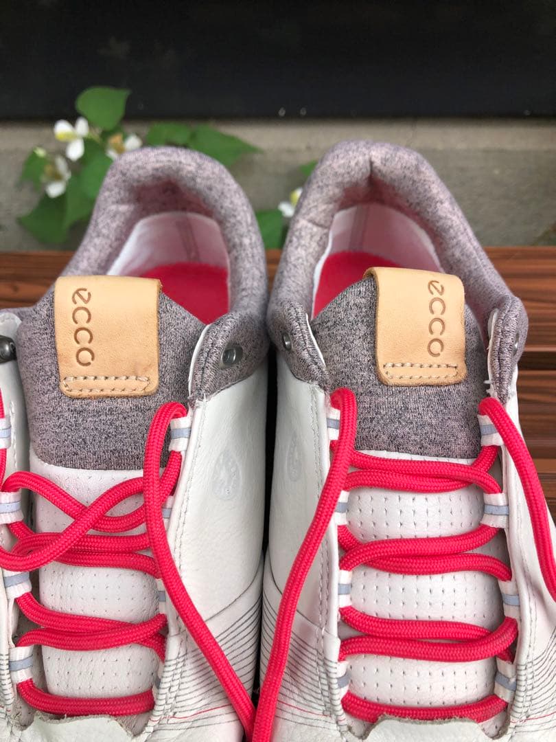 347番 美品ecco biom ゴルフシューズ38 24.0cmスパイクレス