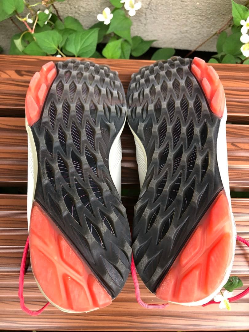 347番 美品ecco biom ゴルフシューズ38 24.0cmスパイクレス