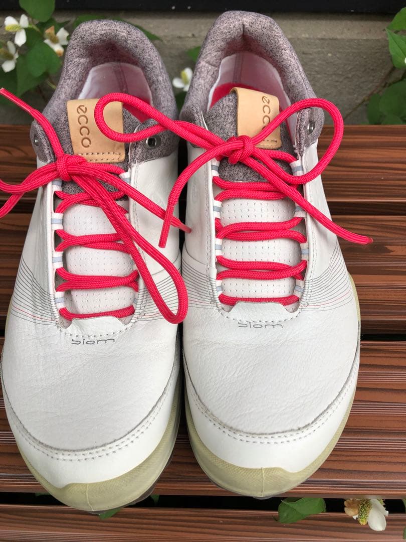 347番 美品ecco biom ゴルフシューズ38 24.0cmスパイクレス