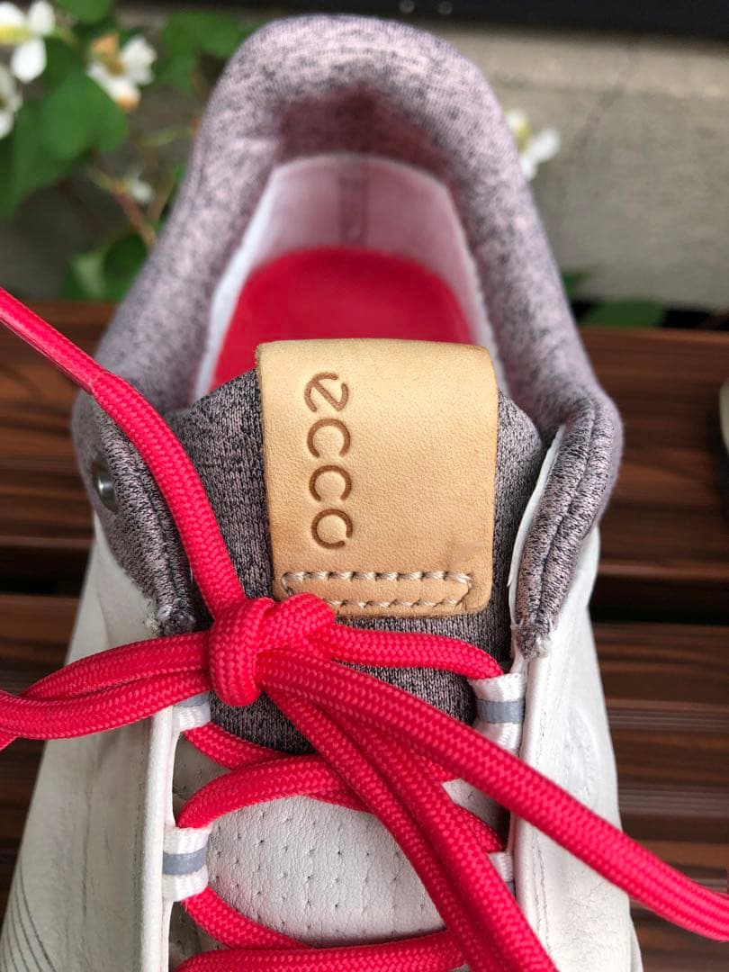 347番 美品ecco biom ゴルフシューズ38 24.0cmスパイクレス