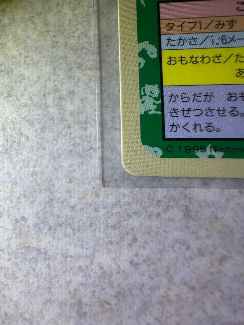 初期 希少 ポケモンカード トップサン カメックス 裏面青