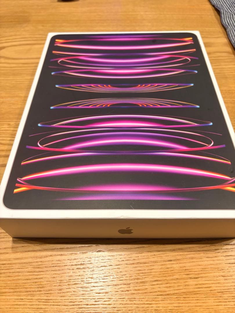 iPad Pro 12.9 インチ 第6世代 M2 256 GB スペースグレイ