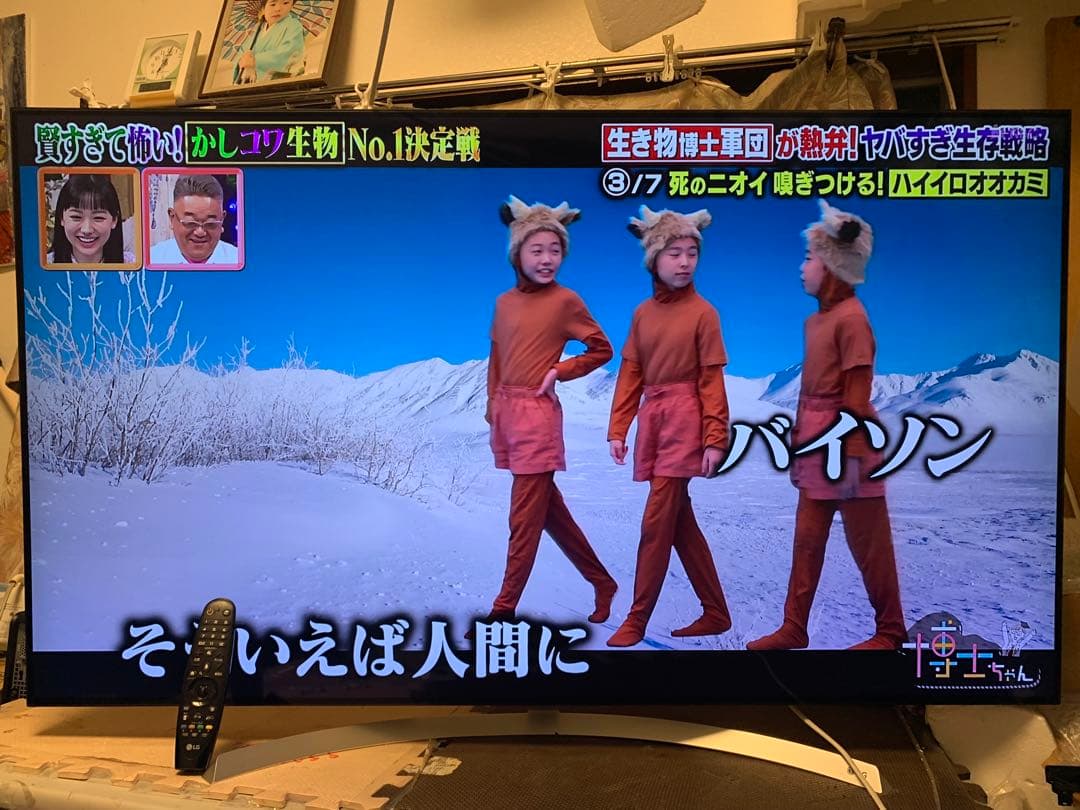 (専用)LGエレクトロニクス 液晶テレビ55SJ8500