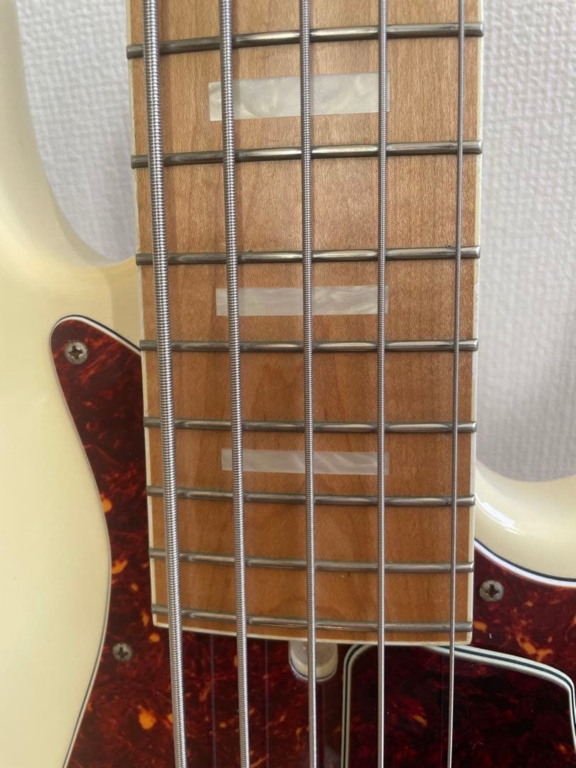 Bottom Wave 5弦PJベース(Fodera同等エレクトロニクス仕様)