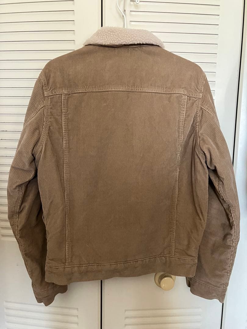 Patagonia パイルラインドトラッカージャケット/ベージュ