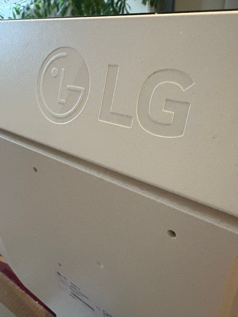 29WN600-W 29型 ウルトラワイドモニター LG