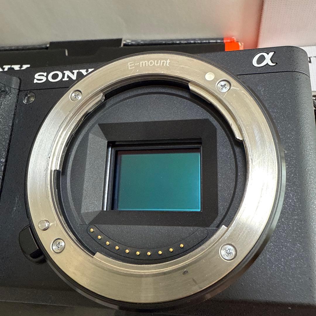 SONY α6500 ボディ、ACC-TRW セット