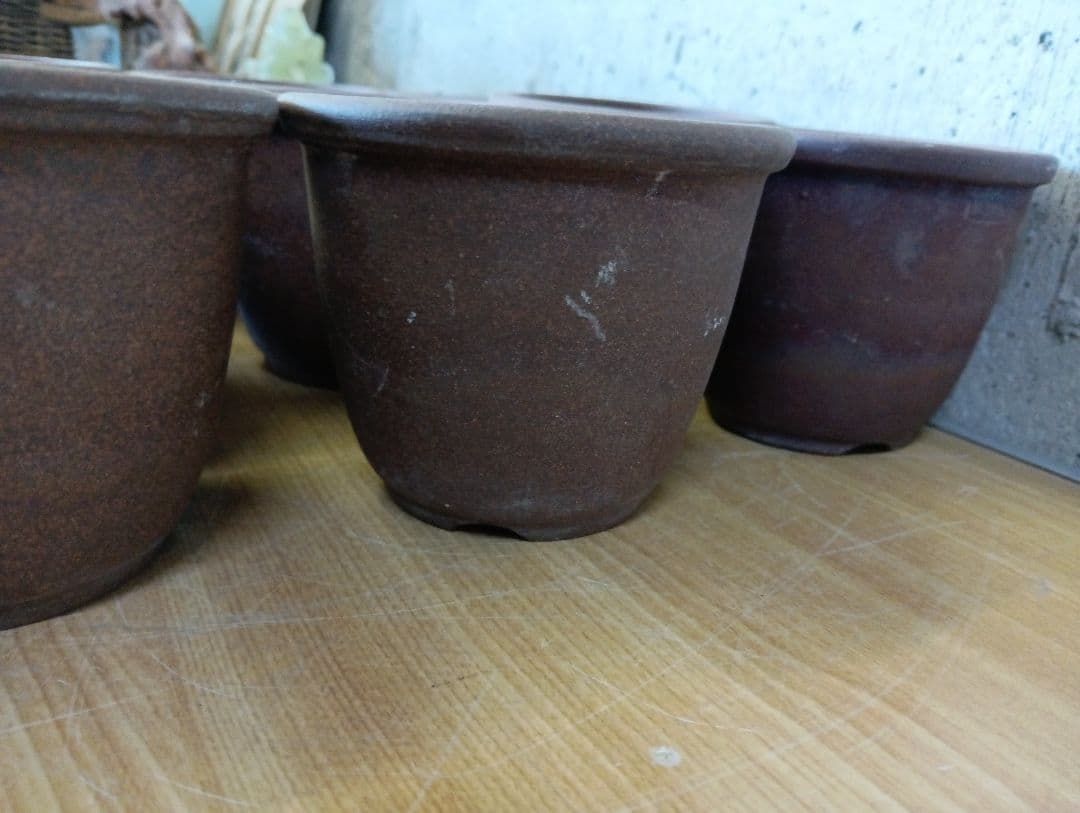 丹波立杭焼 伝市鉢 11点 まとめ売り 山野草鉢 植木鉢 盆栽 ガーデニング