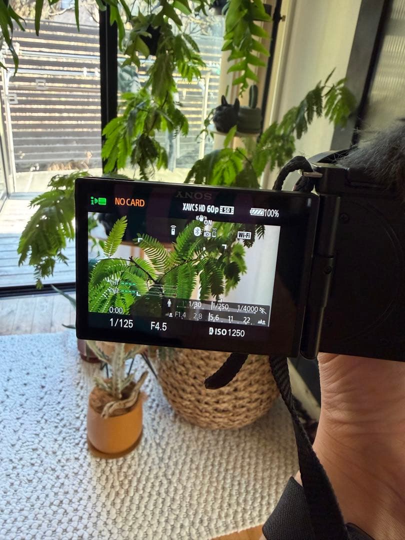 デジタルカメラ SONY VLOGCAM ZV-E10L