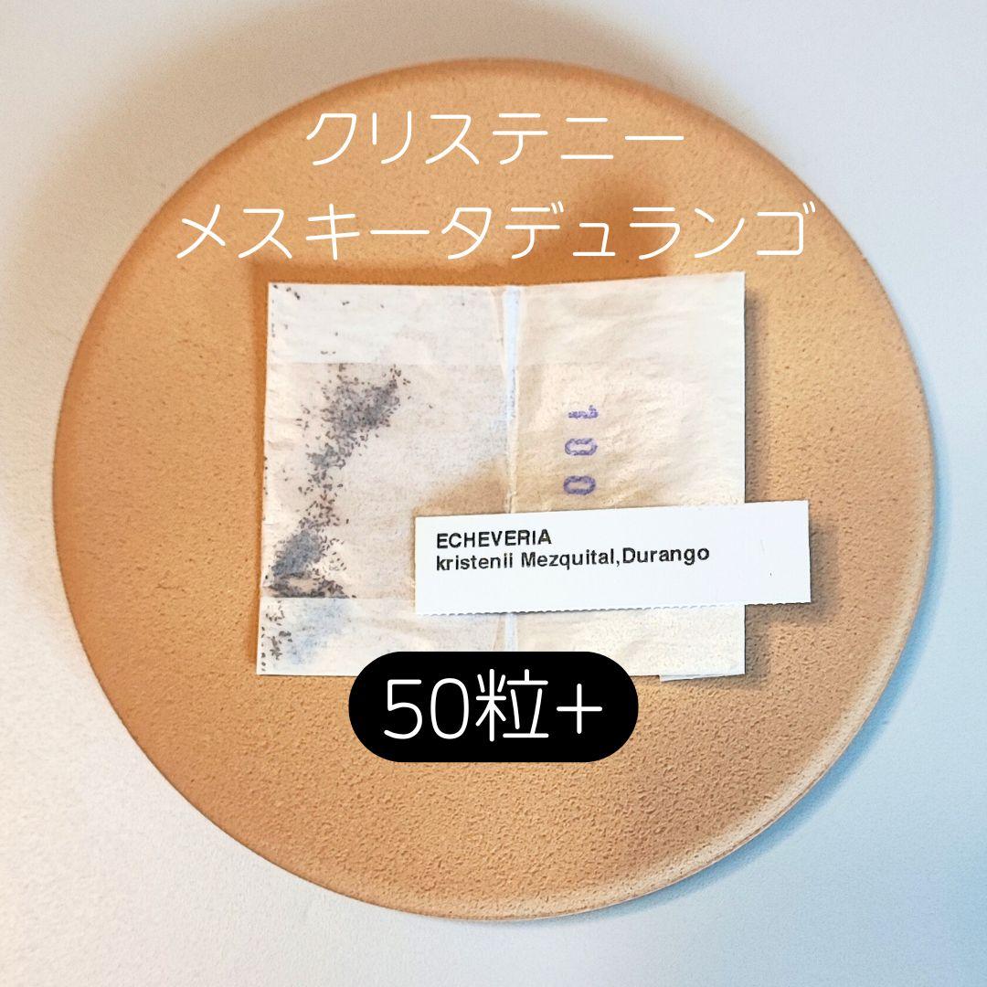 ゆゆ様 リクエスト 8点 まとめ商品