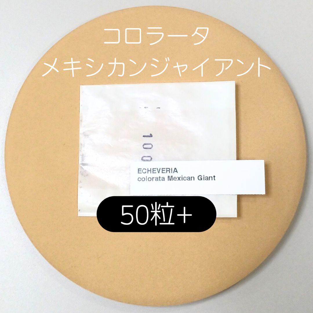 ゆゆ様 リクエスト 8点 まとめ商品