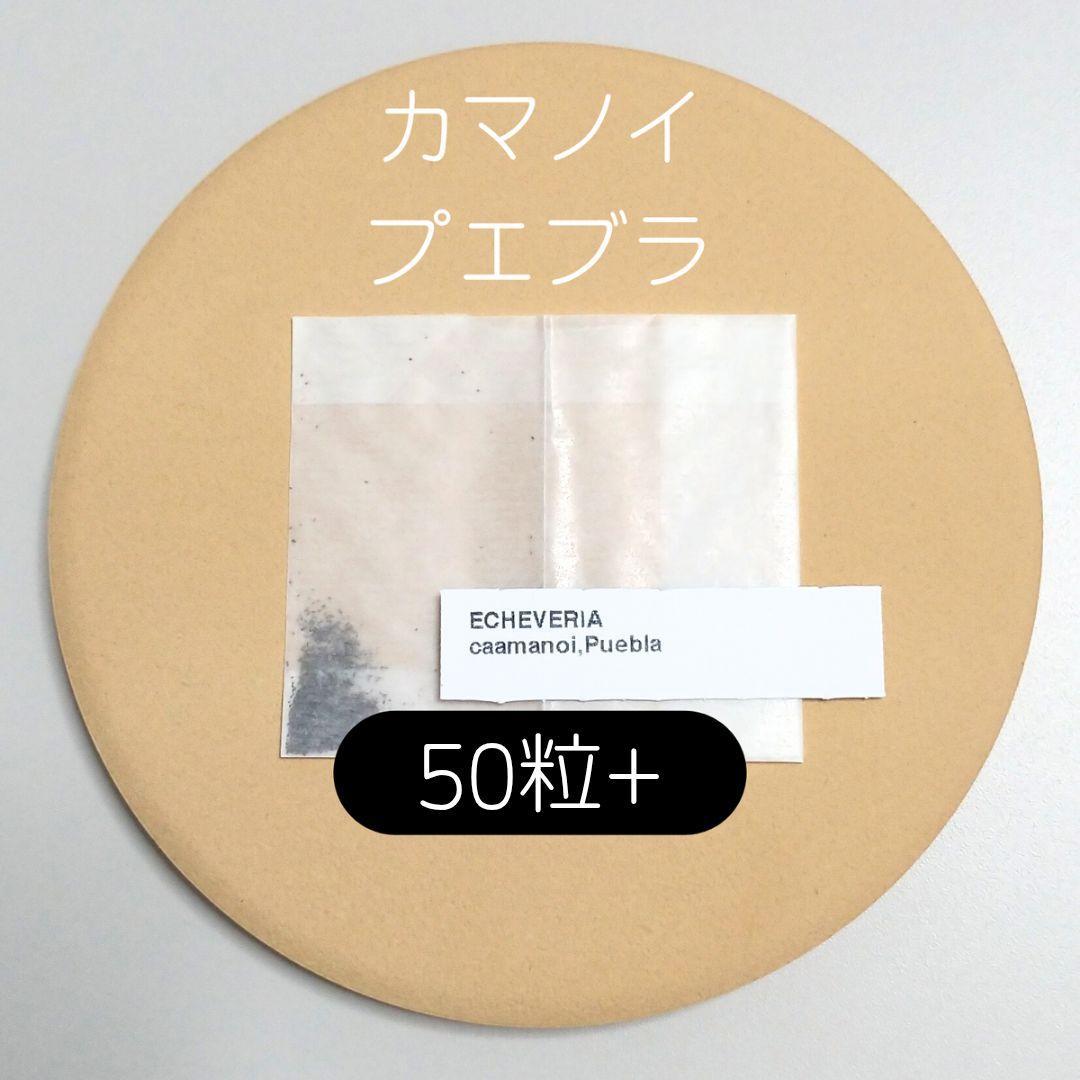 ゆゆ様 リクエスト 8点 まとめ商品