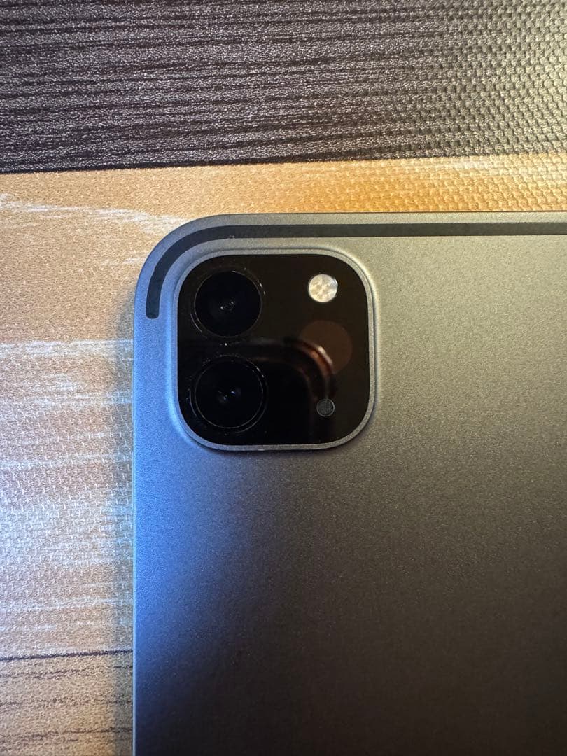 iPad Pro 11インチ 第3世代 256GB WiFiモデル