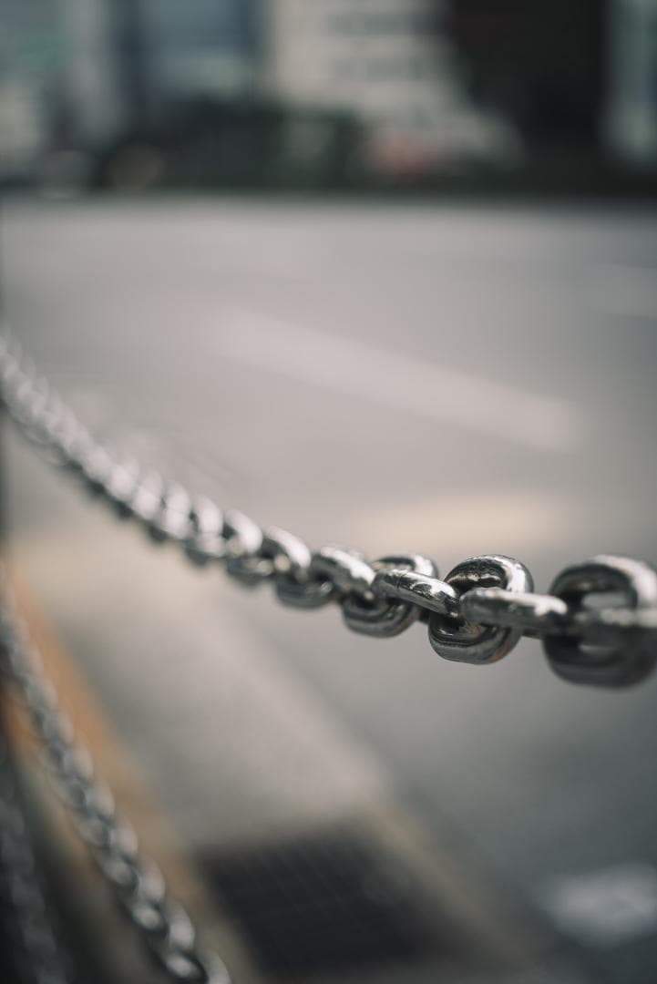 Leica bluecoted Elmar 50mm F3.5 オールドレンズ