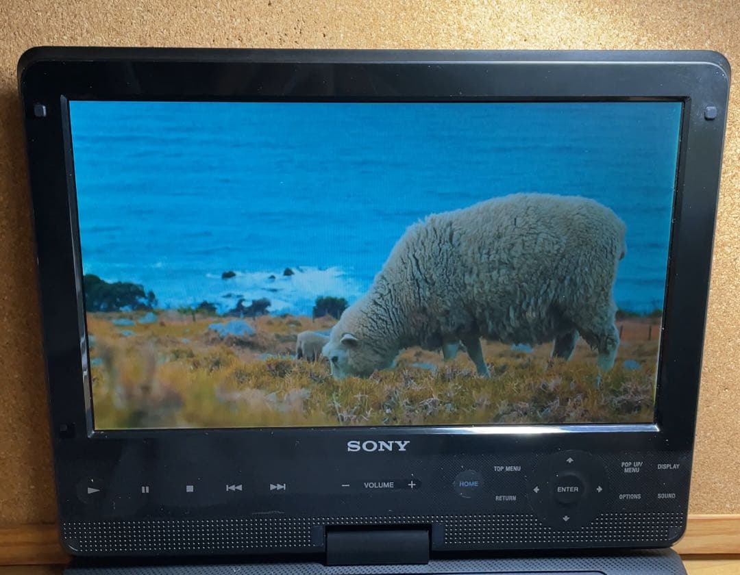 最終価格 SONY 10インチ高画質ポータブルDVD・BD・ブルーレイプレーヤー