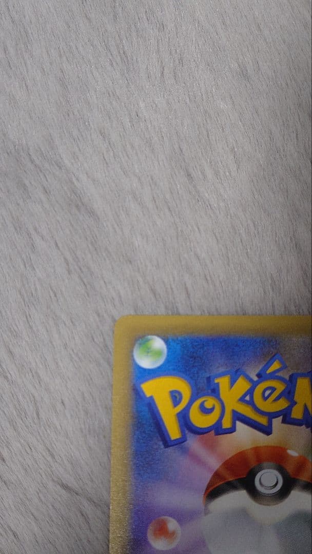 ぬ*ま様 リザードン ガブリアス　25周年