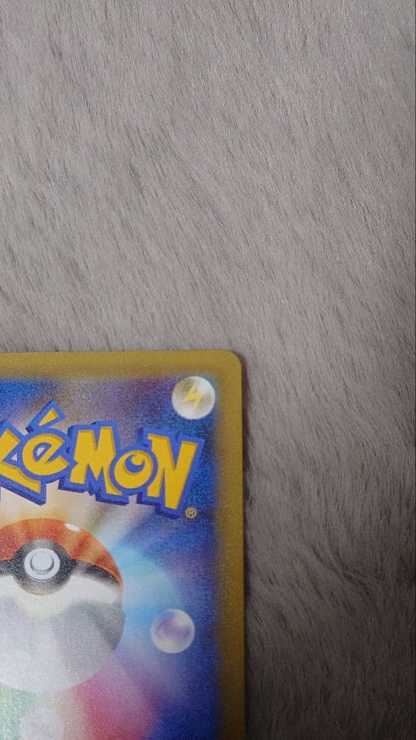 ぬ*ま様 リザードン ガブリアス　25周年