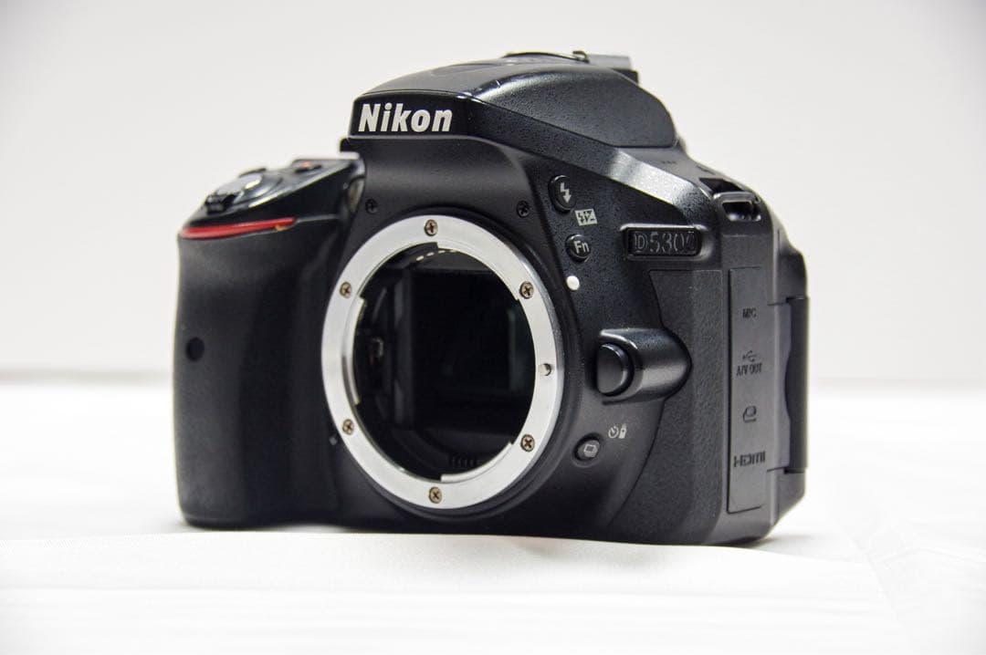 Wi-Fi搭載機 届いてすぐ使える ✨ Nikon D5300 レンズセット