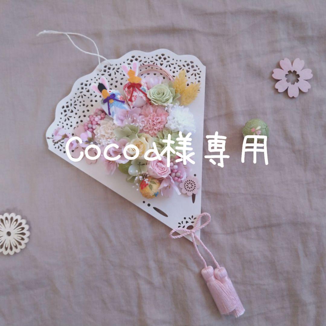 Cocoa☆ 4点