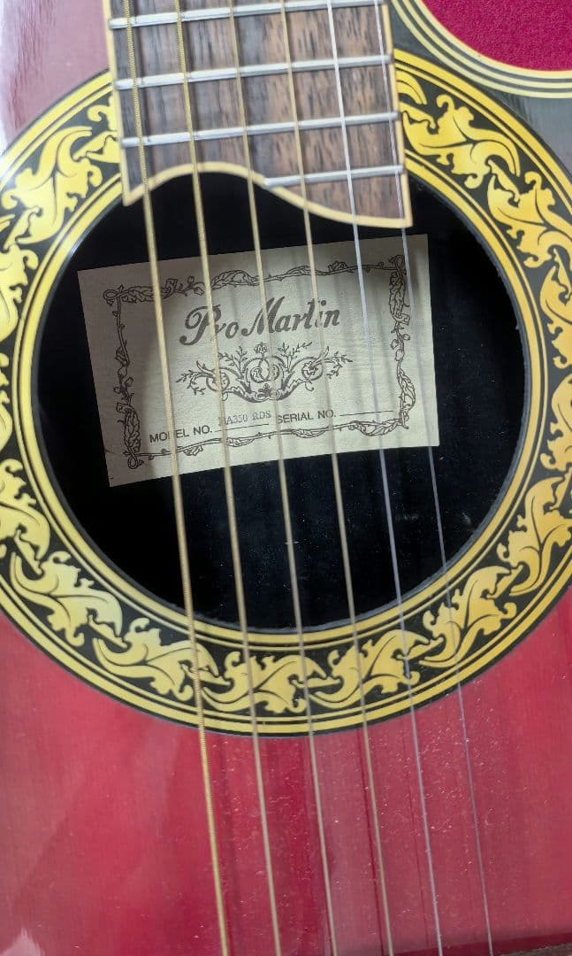 Pro Martin オベーション　エレアコアコースティックギター