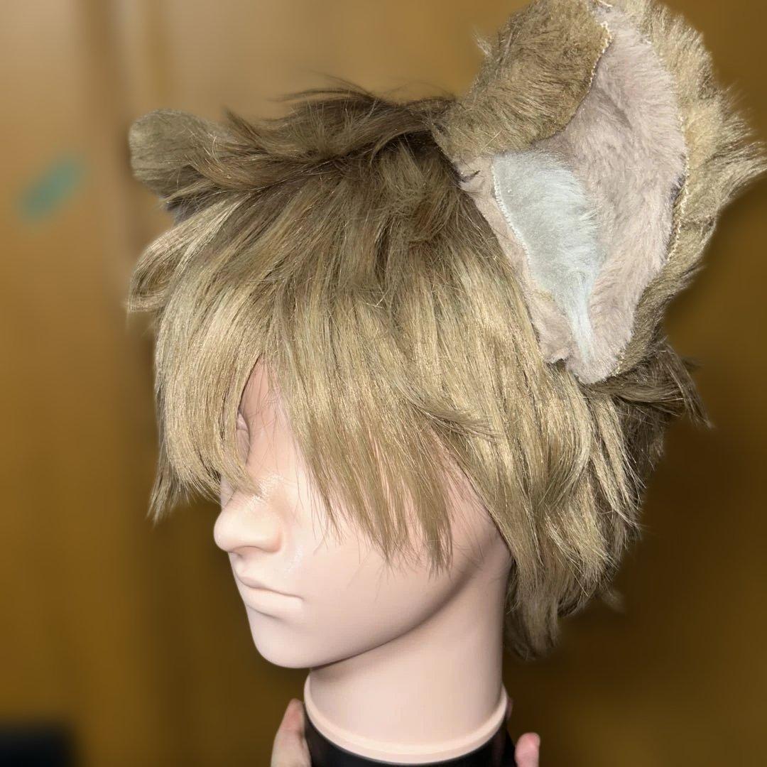 ラギー ウィッグ 耳 尻尾