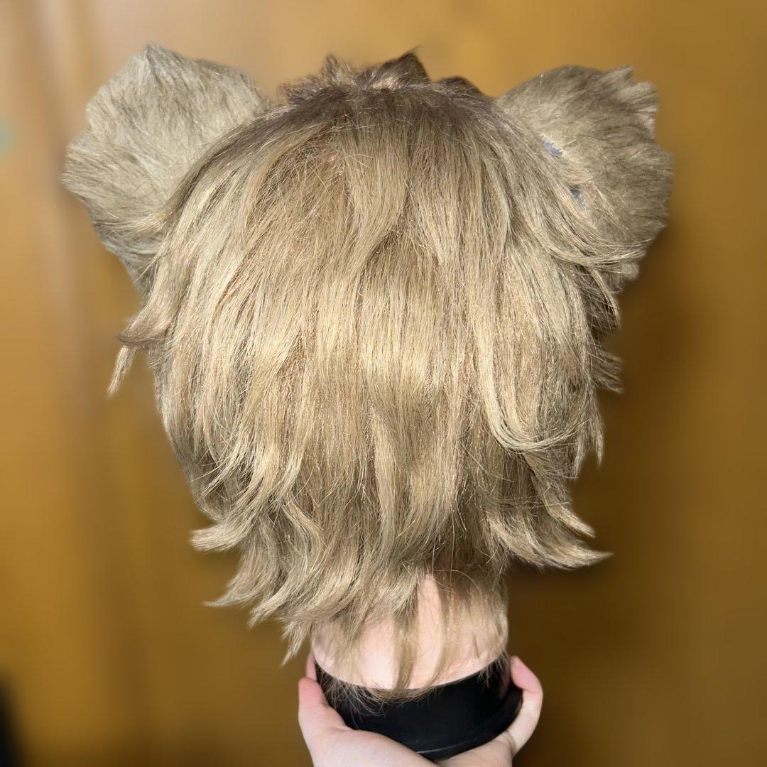 ラギー ウィッグ 耳 尻尾