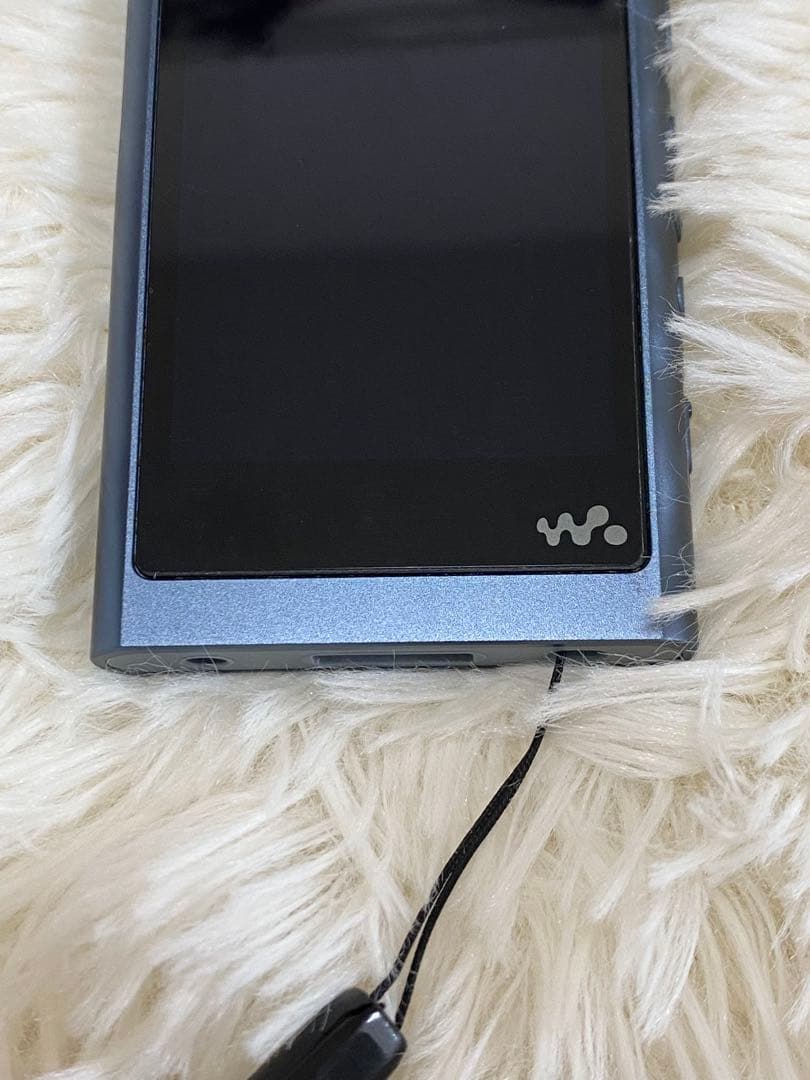 【極美品】【動作OK】SONY ウォークマン NW-A55 付属品完備 SD付