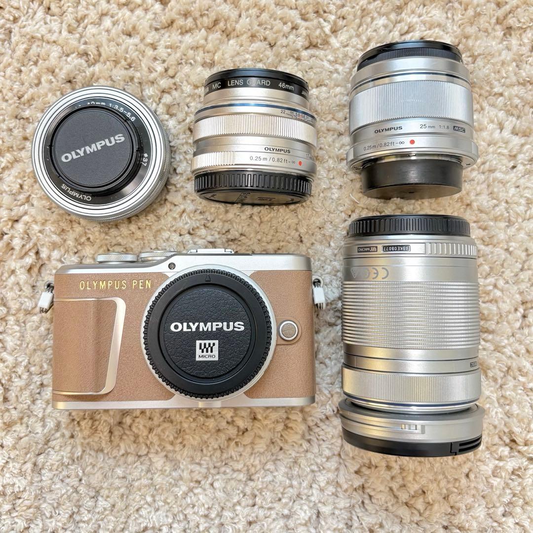 レンズ計4本 OLYMPUS PEN E-PL9 ダブルズームキット&単焦点