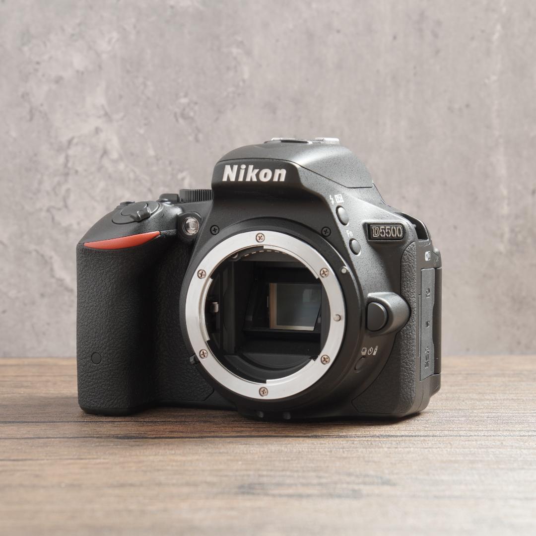 ショット数381回で新品級✨Wi-Fi✨Nikon D5500　1040-1